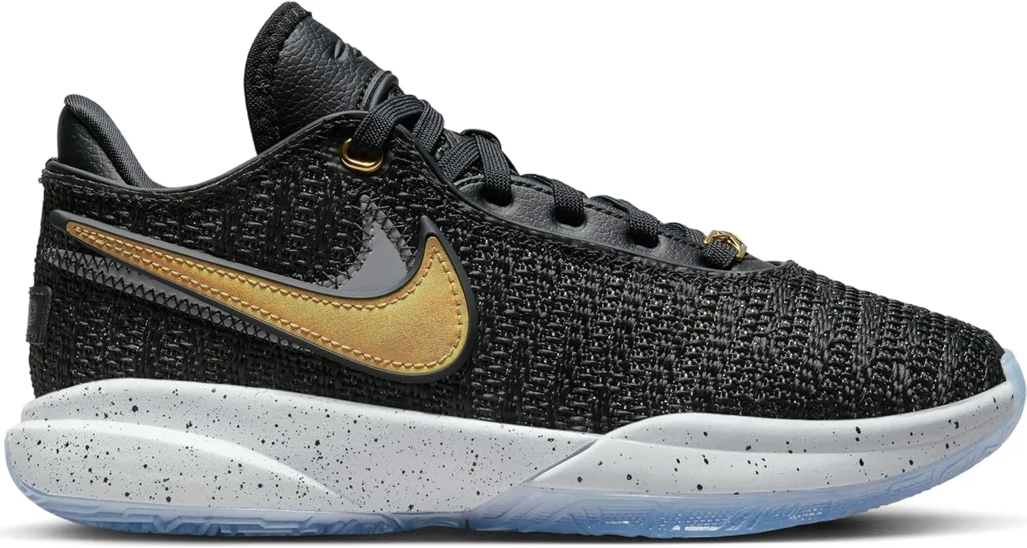 Nike Boy's Lebron XX SE (Big Kid)